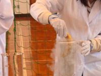 第9回 津田ふれあいまつり 津田高自然科学部：おもしろ実験「液体窒素にバナナ」 の写真