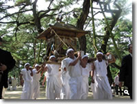 2007年 津田の秋祭りの模様 ～御神輿～ の写真⑧