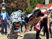 2013年 津田石清水神社 秋季例大祭 獅子舞の写真①