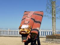 2013年 津田石清水神社 秋季例大祭 獅子舞の写真⑥