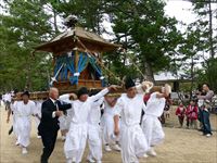 2014年 津田石清水神社 秋季例大祭 御輿の写真④