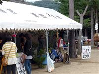 2014年 津田石清水神社 秋季例大祭 出店 気魚すくいの写真