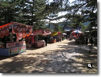 2008年 津田石清水八幡宮 春市の模様の写真①