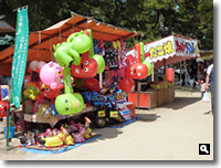 2009年 津田石清水八幡宮 春市 春市の模様の写真③