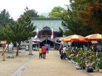 2013年 津田石清水八幡宮 春市の写真③