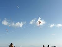 第20回津田の松原凧揚げ大会 の写真⑥
